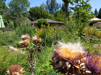 Lotus Garden Meditation Center - Photo 7 - Car repair in Carmichael, CA, Sacramento
