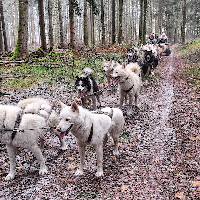 Taïga Aventure à Cisternes-la-Forêt