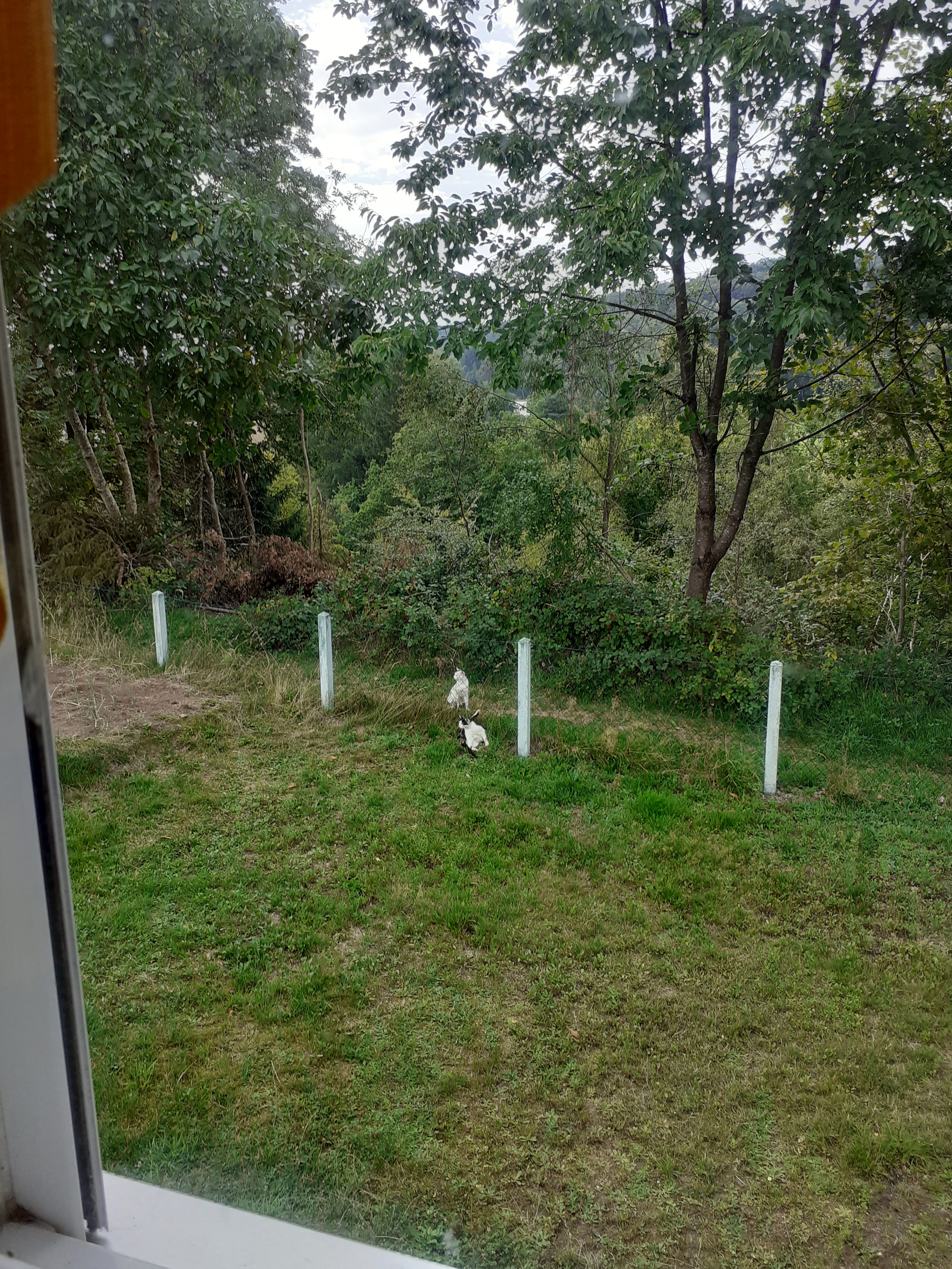 Photo n° 2 de l'avis de R0lande.e fait le 23/10/2023 à 16:14