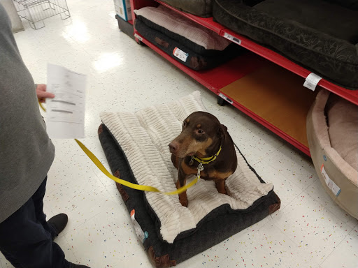 Pet Supply Store «Petco Animal Supplies», reviews and photos, 20111 US-19 #201c, Cranberry Twp, PA 16066, USA