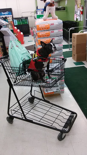 Pet Supply Store «Pet Supplies Plus», reviews and photos, 555 Scott St, Wilkes-Barre, PA 18702, USA