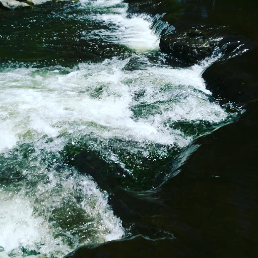 Park «Bear Creek Park», reviews and photos, 3550 S Raleigh St, Denver, CO 80236, USA