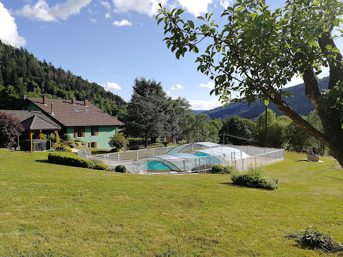 Gite Vosges ski piscine jeux tennis Nid Douillet L'Eden 88 bébé Animaux gite 2/5p + Wifi Hammam à Le Menil