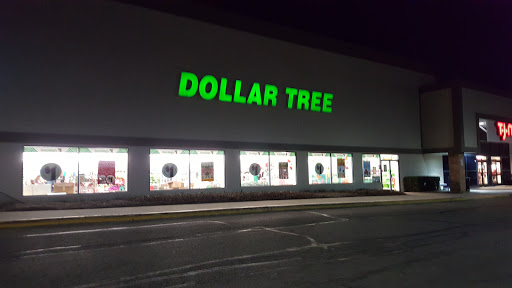 Dollar Store «Dollar Tree», reviews and photos, 723 W State Rte 22, Lake Zurich, IL 60047, USA