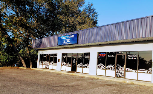 Pet Store «Bluewater Zoo Exotic Aquariums & Reptiles», reviews and photos, 159 Miracle Strip Pkwy SE, Fort Walton Beach, FL 32548, USA