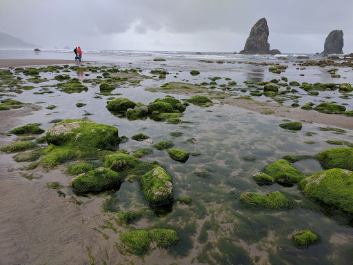 Tourist Attraction «Haystack Rock», reviews and photos, US-101, Cannon Beach, OR 97110, USA