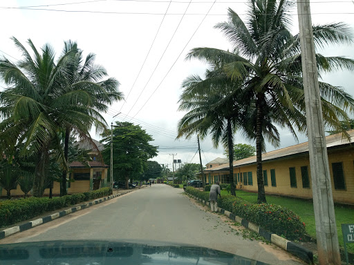 Our Lady Of Lourdes School Of Nursing And Midwifery, by Onitsha - Owerri Expy, Ihiala, Nigeria, Kindergarten, state Anambra