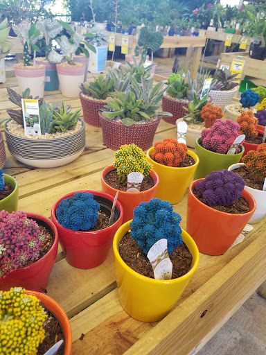 Home Improvement Store «The Home Depot», reviews and photos, 1651 S Poinciana Blvd, Kissimmee, FL 34758, USA