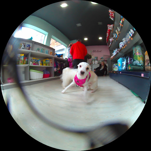 Bitxiland - Donostia-San Sebastian