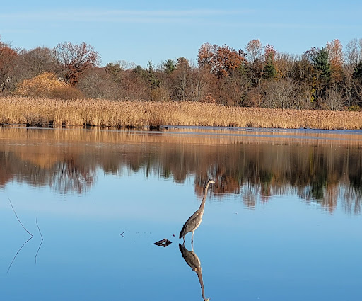 Nature Preserve «The Celery Farm», reviews and photos, Franklin Turnpike, Allendale, NJ 07401, USA