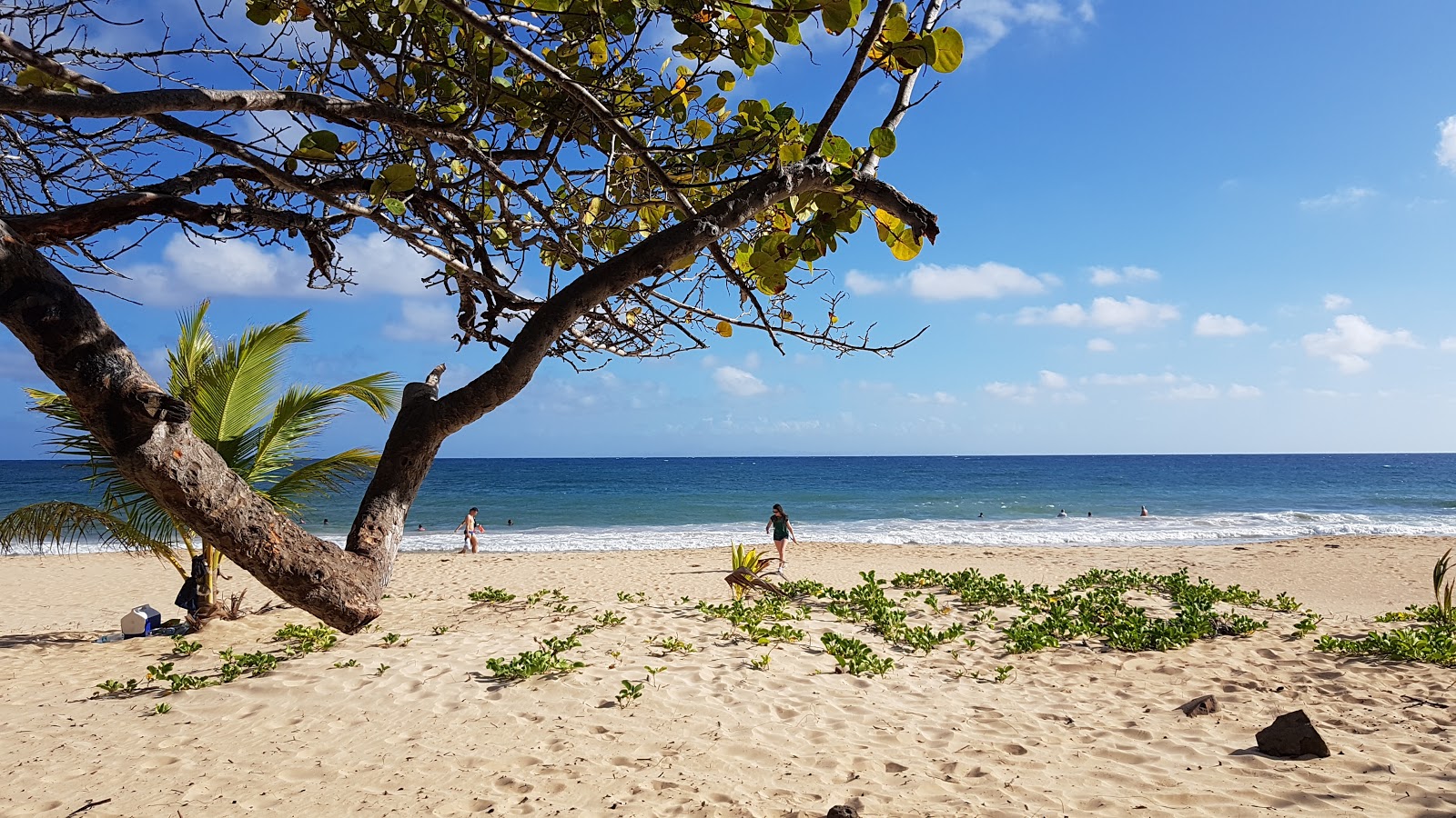 Foto de Petite Anse des Salines com muito limpo nível de limpeza