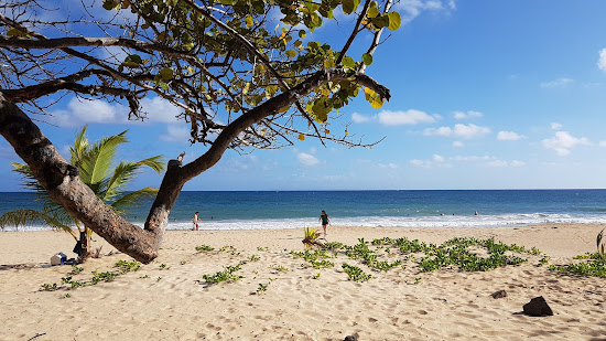 Petite Anse des Salines
