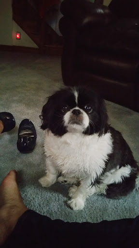 Pet Supply Store «PetSmart», reviews and photos, 13337 Worth Ave, Woodbridge, VA 22192, USA