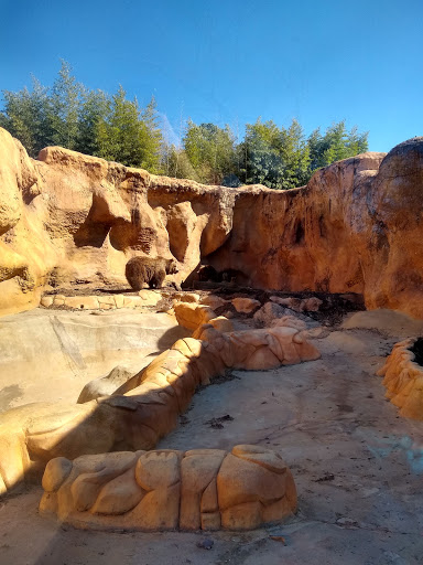 Zoo «Little Rock Zoo», reviews and photos, 1 Zoo Dr, Little Rock, AR 72205, USA