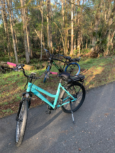 Bicycle Store «FLAUNT Electric Bicycles», reviews and photos, 105 Magnolia St, New Smyrna Beach, FL 32168, USA