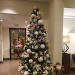 Photo n°1 de l'avis de Derya.r fait le 28/12/2018 à 13:20 sur le  PortoBay Liberdade à Lisbon