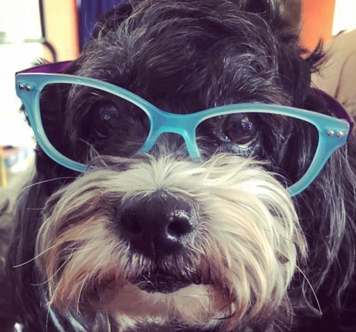 Optician «Optique Unique», reviews and photos, 406 Main St, Metuchen, NJ 08840, USA