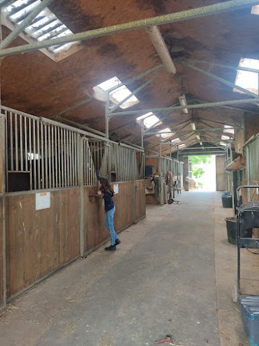 Haras D'Ecotier à Charette