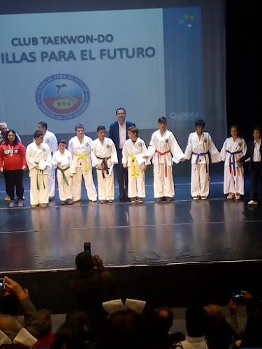 Taekwon-Do SEFU - Quillota