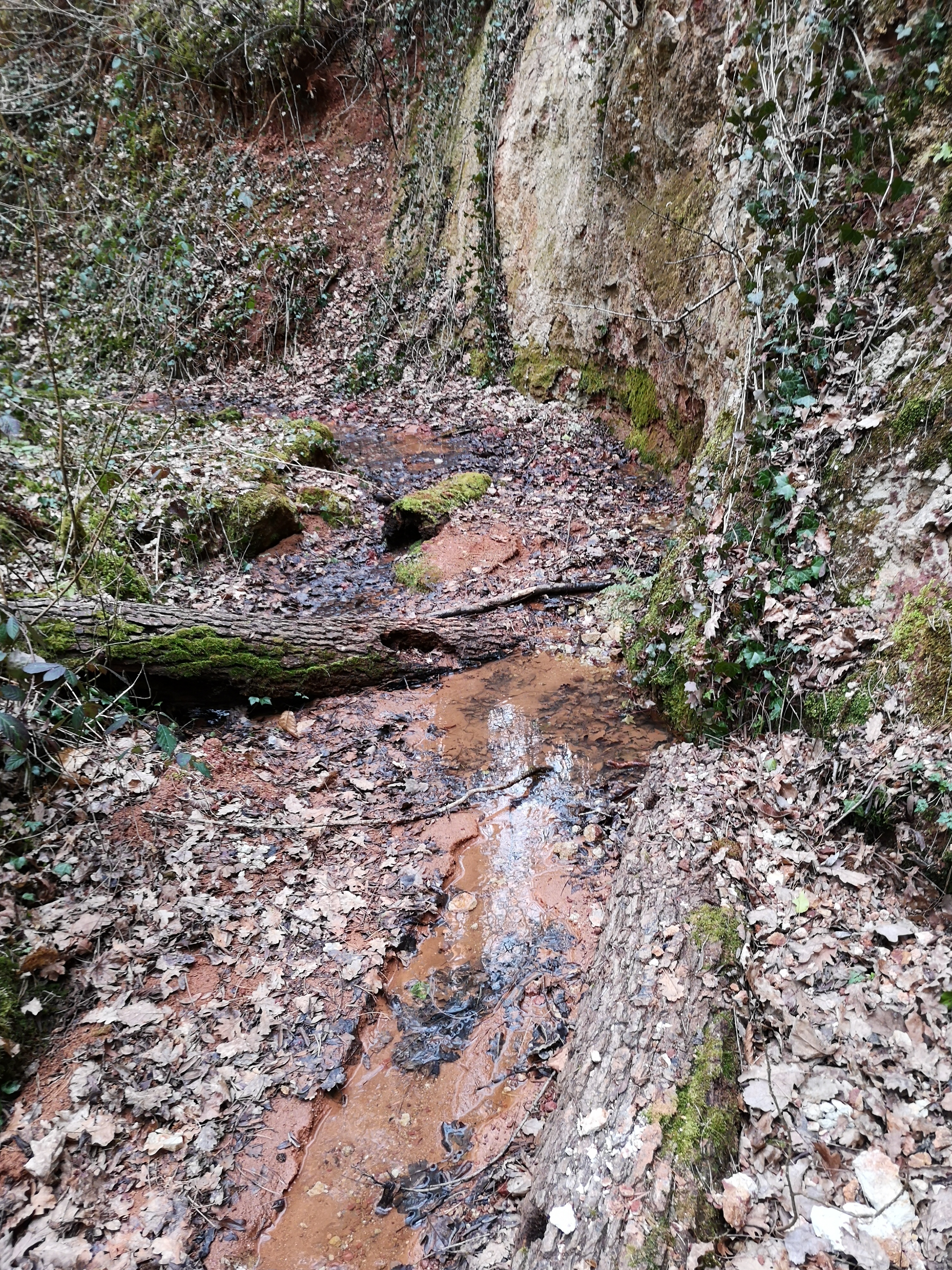 Photo n° 2 de l'avis de Julien.o fait le 05/03/2019 à 07:22