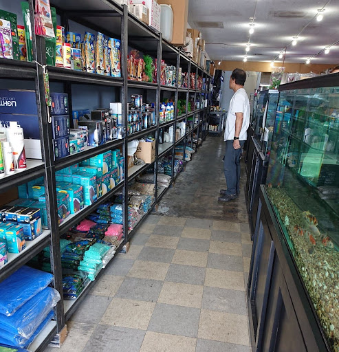 Cali's Tropical Fish