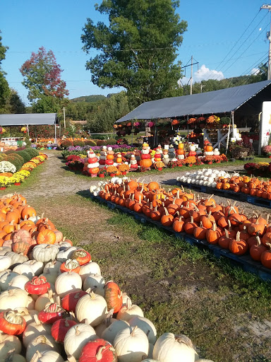 Produce Market «The Bigsby Market», reviews and photos, 1418 Dryden Rd, Freeville, NY 13068, USA