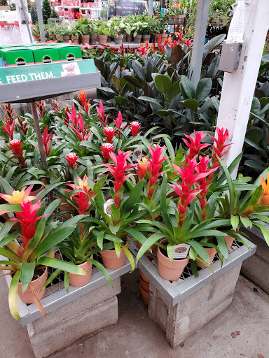 Home Improvement Store «The Home Depot», reviews and photos, 6199 Wilson Mills Rd, Highland Heights, OH 44143, USA