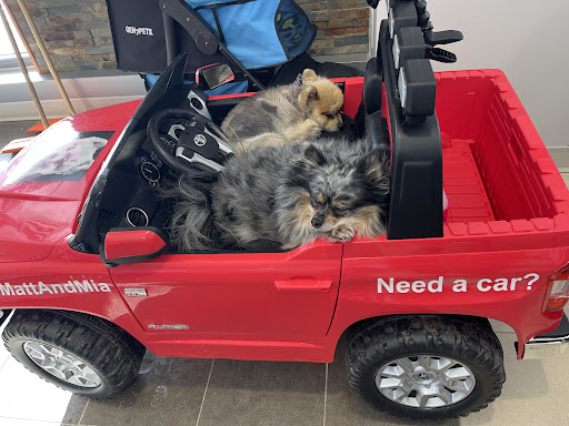 Car Dealer «Vanderstyne Toyota», reviews and photos, 4374 W Ridge Rd, Rochester, NY 14626, USA