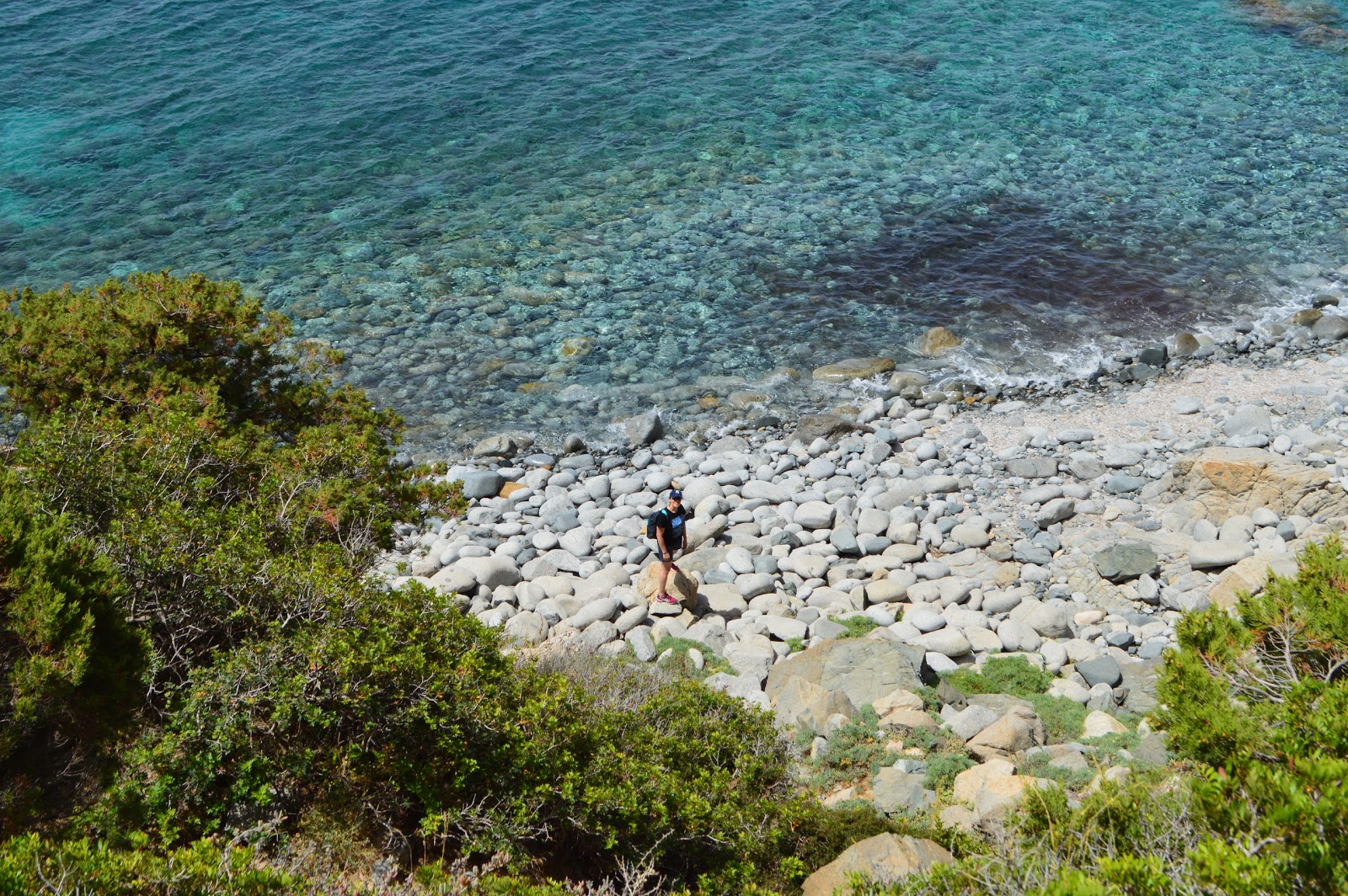 Cala Delfino Beach的照片 带有碧绿色纯水表面