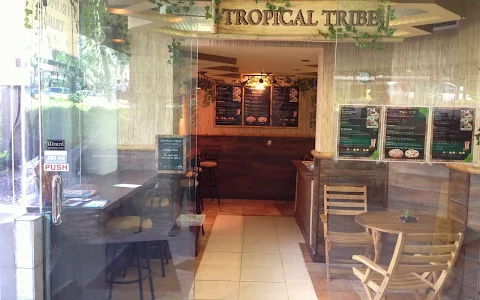 Tropical Tribe image