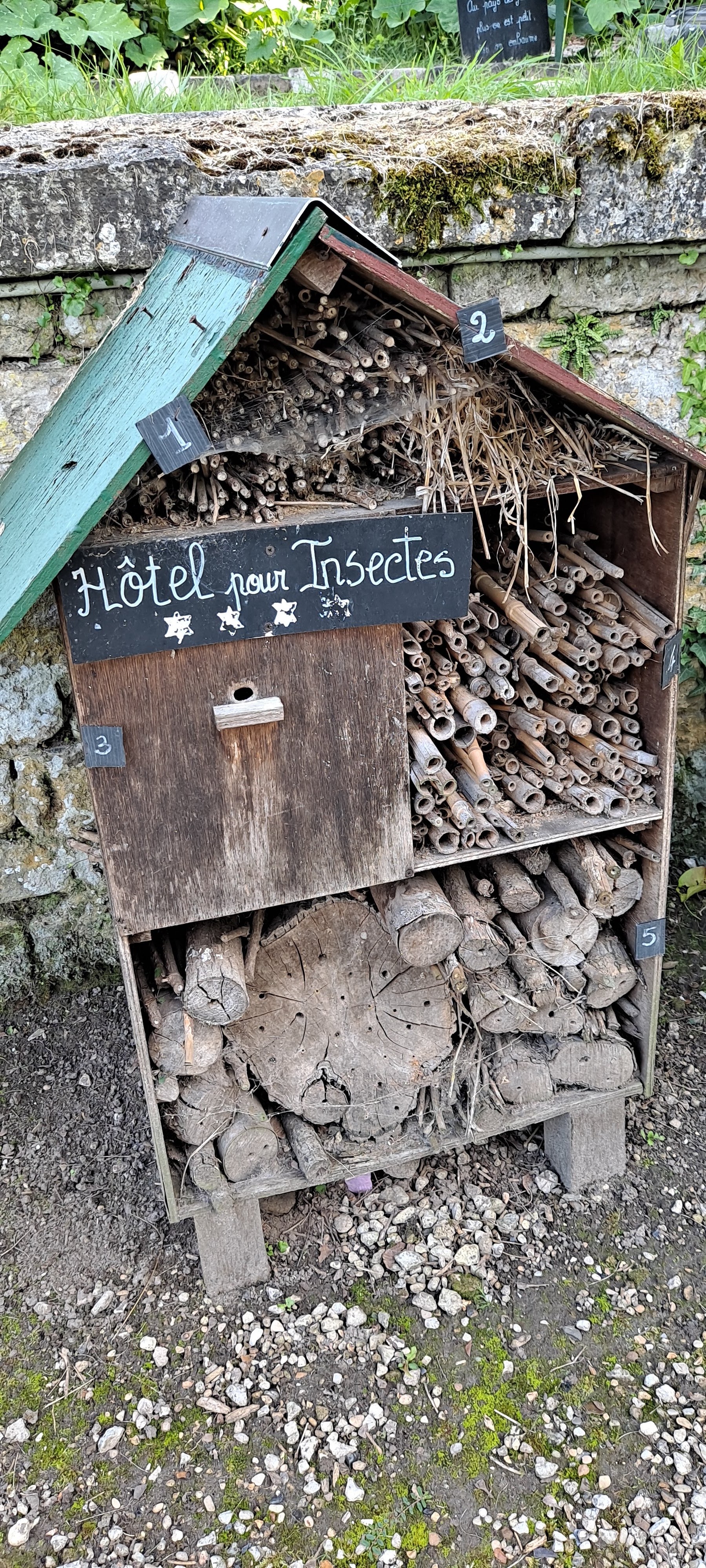 Photo n° 5 de l'avis de Elody.a fait le 17/08/2021 à 18:52
