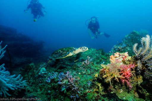 Super Divers - Scuba Diving Phuket