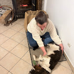 Photo n° 1 de l'avis de Martin.u fait le 09/02/2023 à 08:19 pour Anna Lesaint Ostéopathe Animalier - Chien Cheval Bovin Chat NAC à Sainte-Agathe-d'Aliermont
