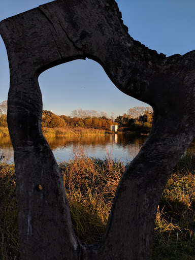 WWT London Wetland Centre