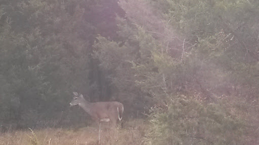 National Park «Stones River National Battlefield», reviews and photos, 3501 Old Nashville Hwy, Murfreesboro, TN 37129, USA