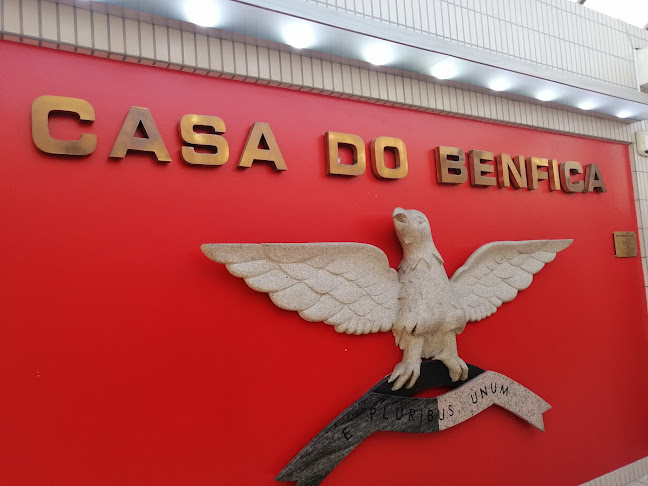 Casa Benfica Paredes - Paredes