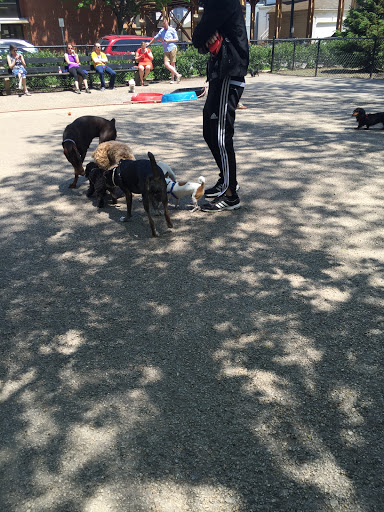 Dog Park «Wiggly Field Dog Friendly Area», reviews and photos, 2645 N Sheffield Ave, Chicago, IL 60614, USA