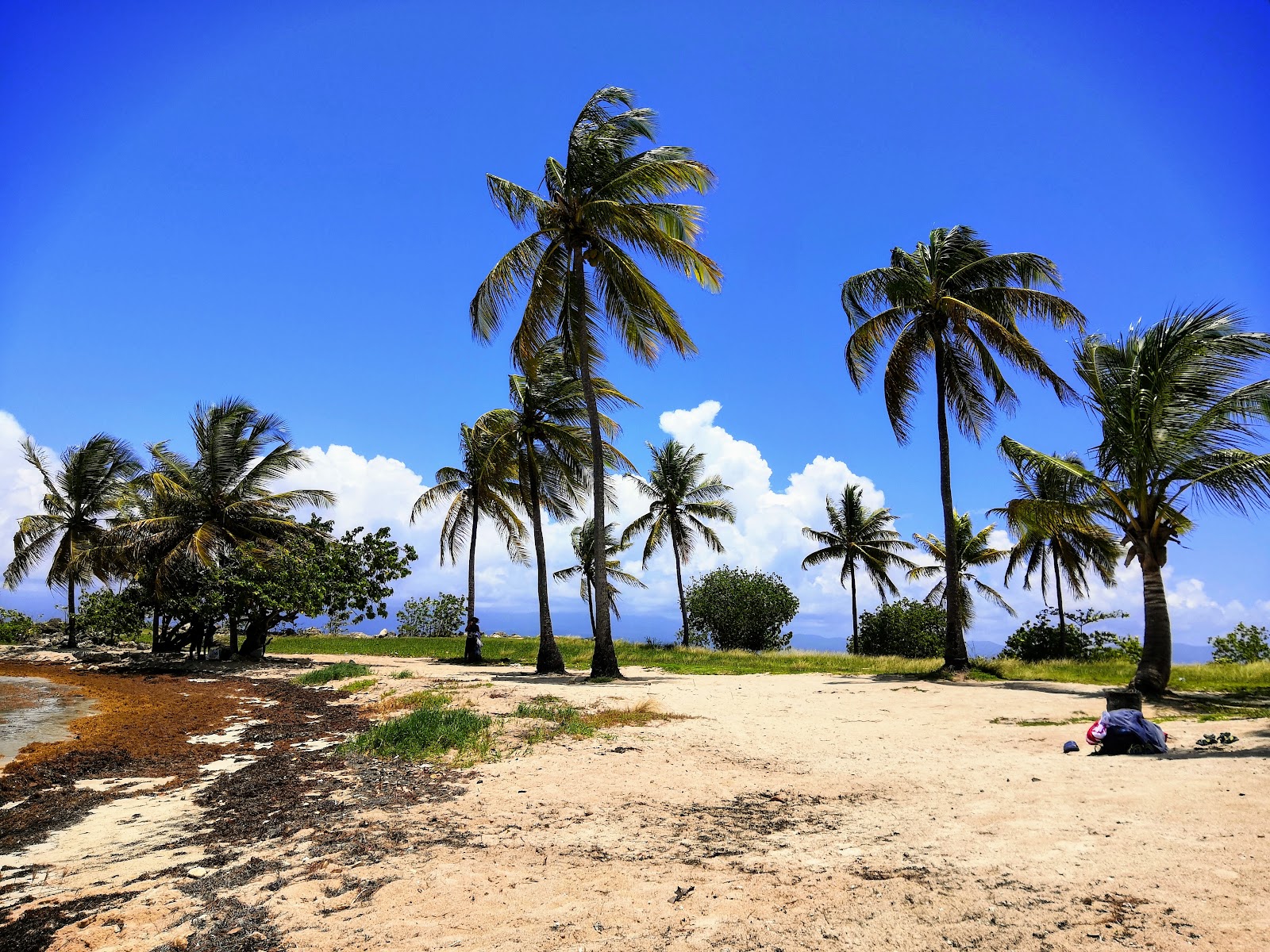 Foto di Plage de Bas du Fort e l'insediamento