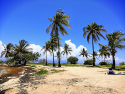 Plage de Bas du Fort photo #6