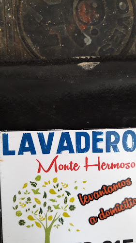 Opiniones de Lavadero Monte Hermoso en Maldonado - Lavandería