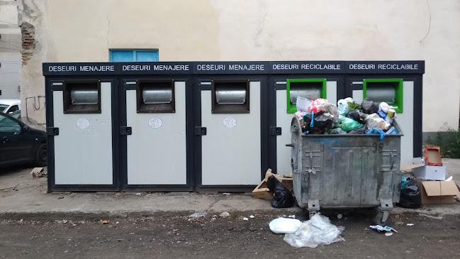 RER ECOLOGIC SERVICE S.R.L. BRAILA - Servicii de curățenie