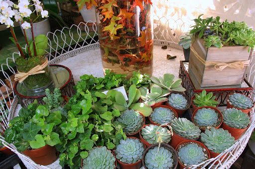 Florist «LARCHMONT VILLAGE FLORIST», reviews and photos, 420 N Larchmont Blvd, Los Angeles, CA 90004, USA