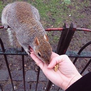 Griffin Park - photo 16