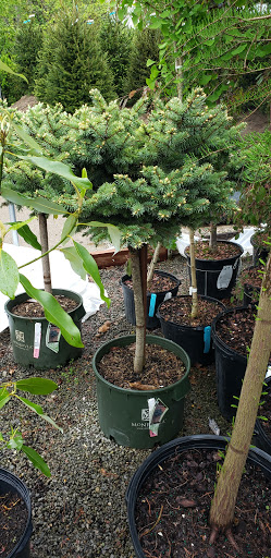 Garden Center «Holscher & Hackman Garden Center», reviews and photos, 6088 Harrison Ave, Cincinnati, OH 45247, USA