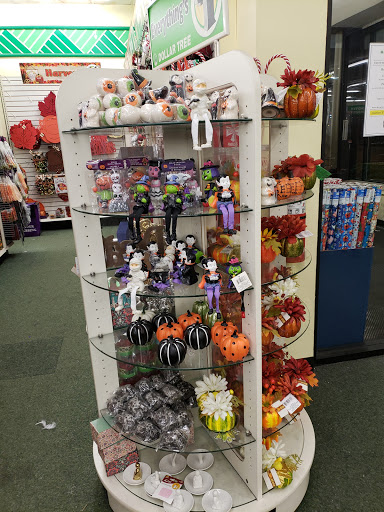 Dollar Store «Dollar Tree», reviews and photos, 5435 N Harlem Ave, Chicago, IL 60656, USA