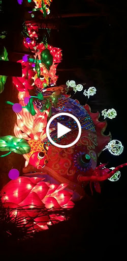 Zoo «Central Florida Zoo & Botanical Gardens», reviews and photos, 3755 NW Hwy 17-92, Sanford, FL 32771, USA