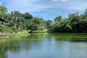 Singapore Botanic Gardens Eco Lake image