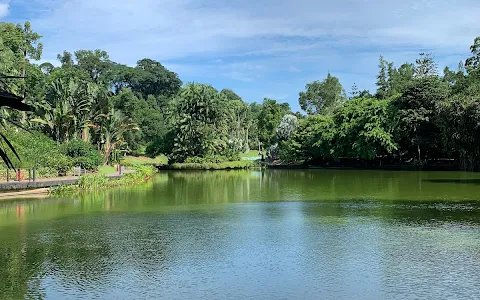 Singapore Botanic Gardens Eco Lake image
