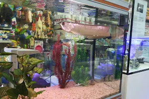 Aquariums & Co - Pet Articles image
