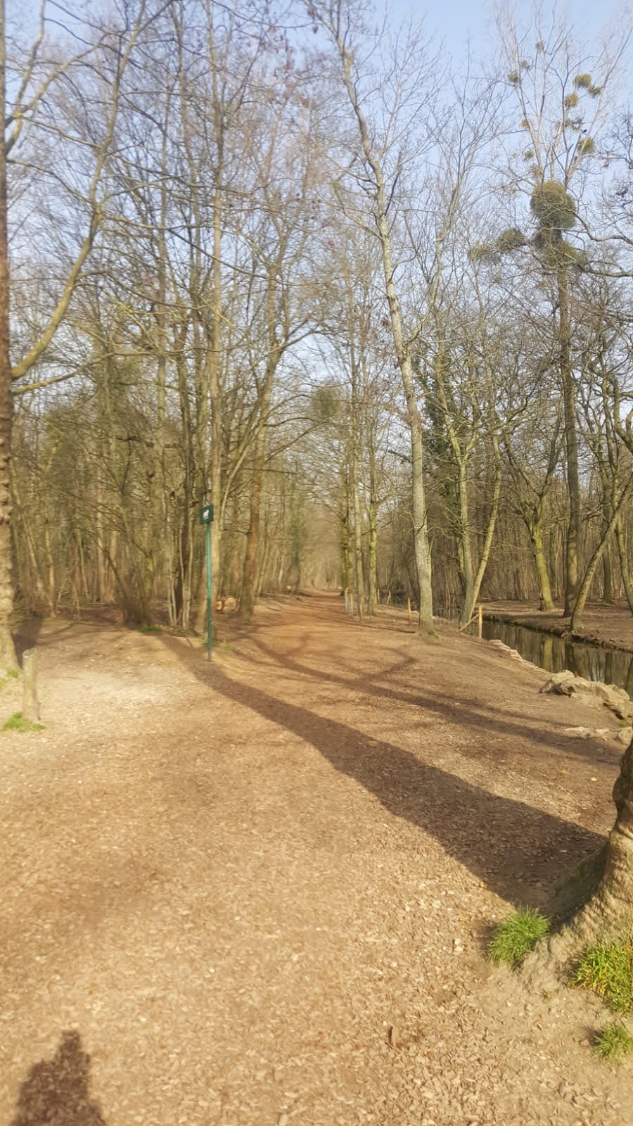 Photo n° 4 de l'avis de Jean-François.e fait le 06/03/2021 à 23:43